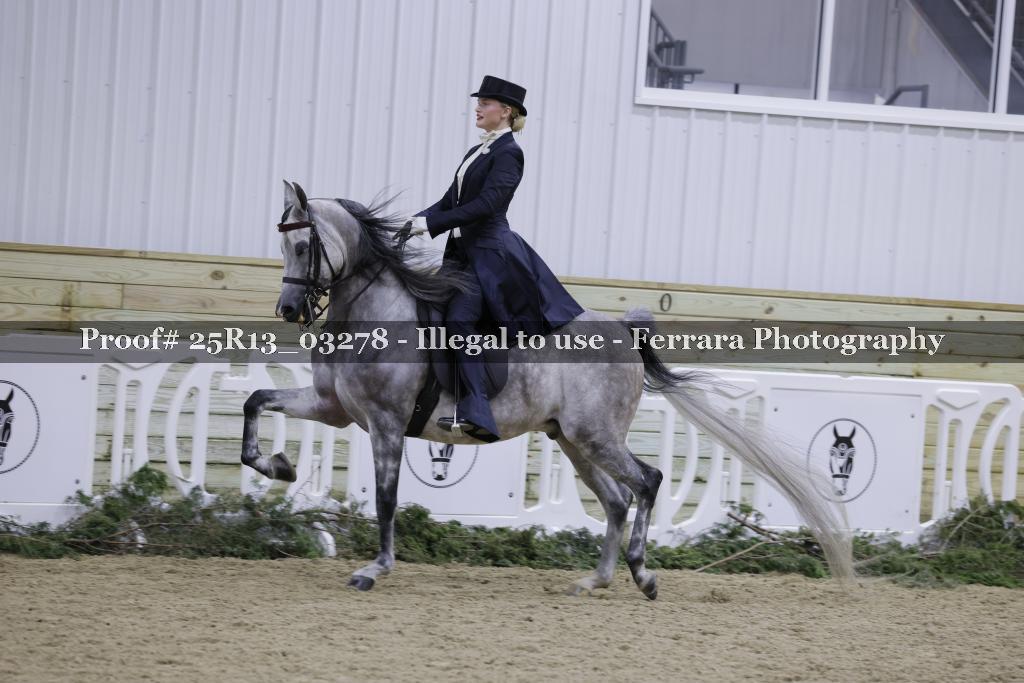 Proof 25R13_03278