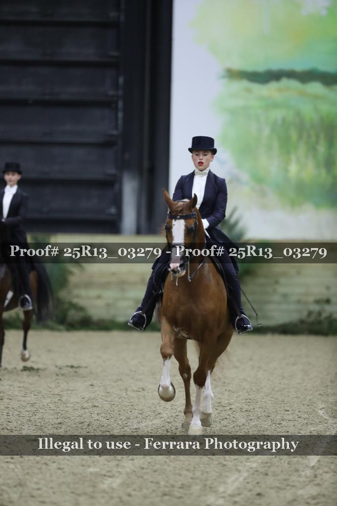 Proof 25R13_03279