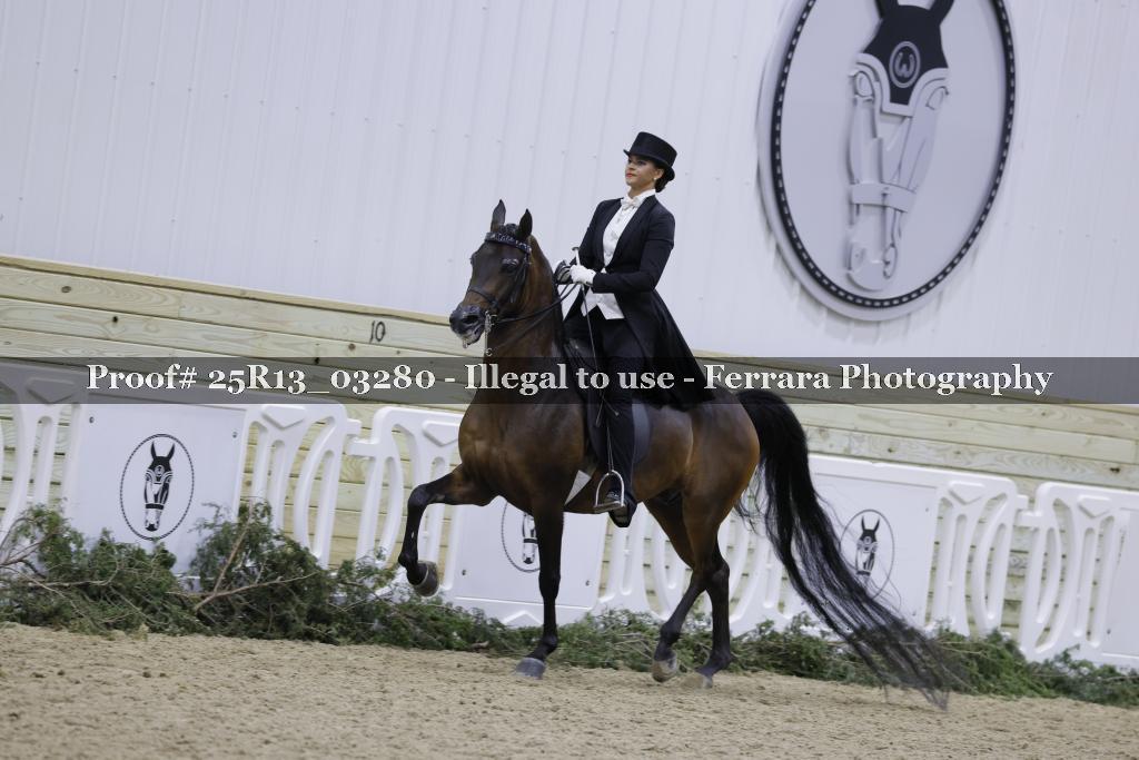 Proof 25R13_03280