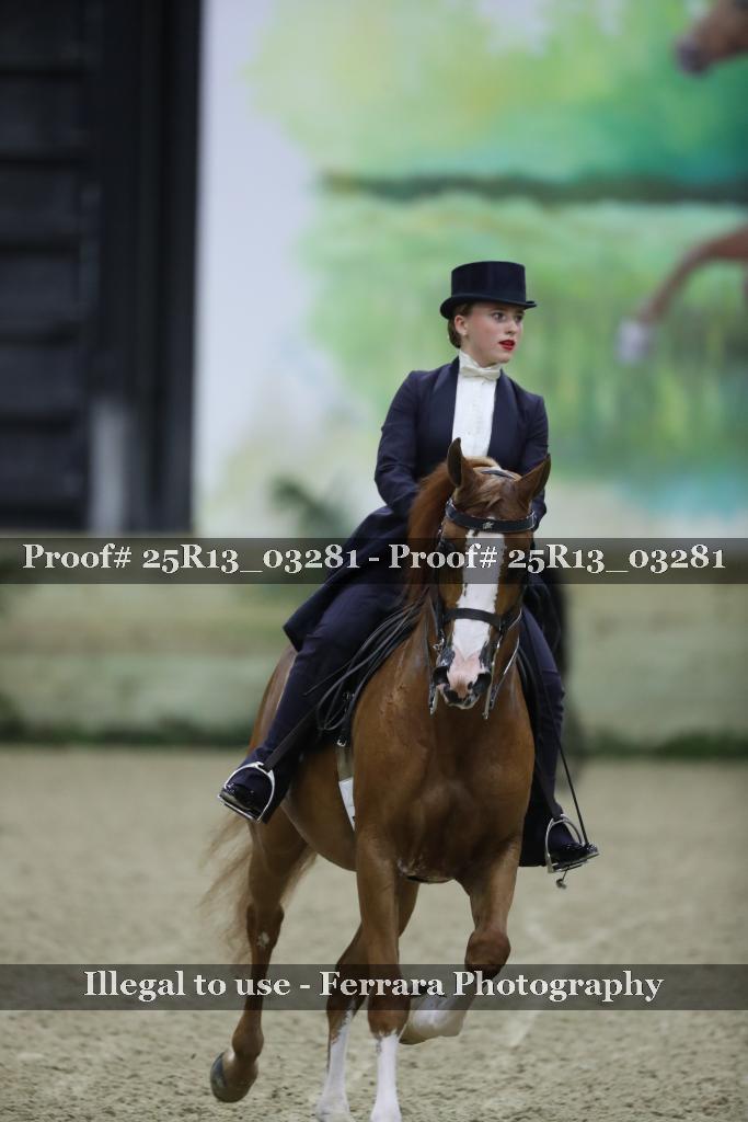 Proof 25R13_03281