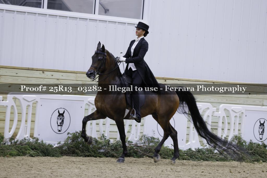 Proof 25R13_03282