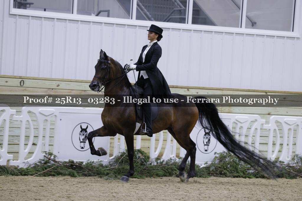 Proof 25R13_03283