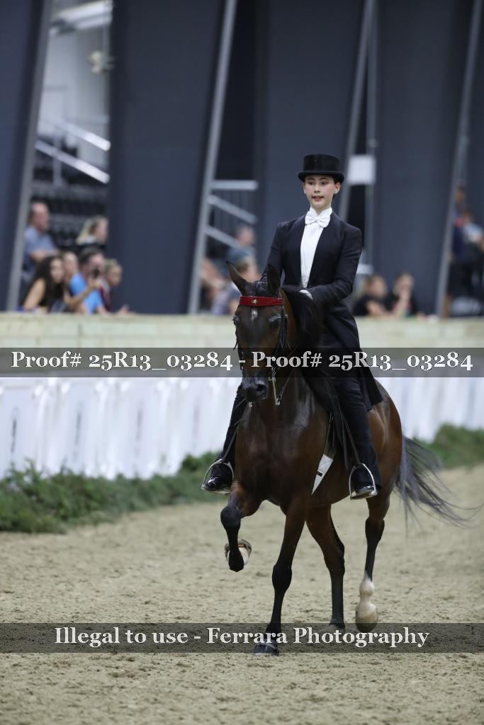 Proof 25R13_03284