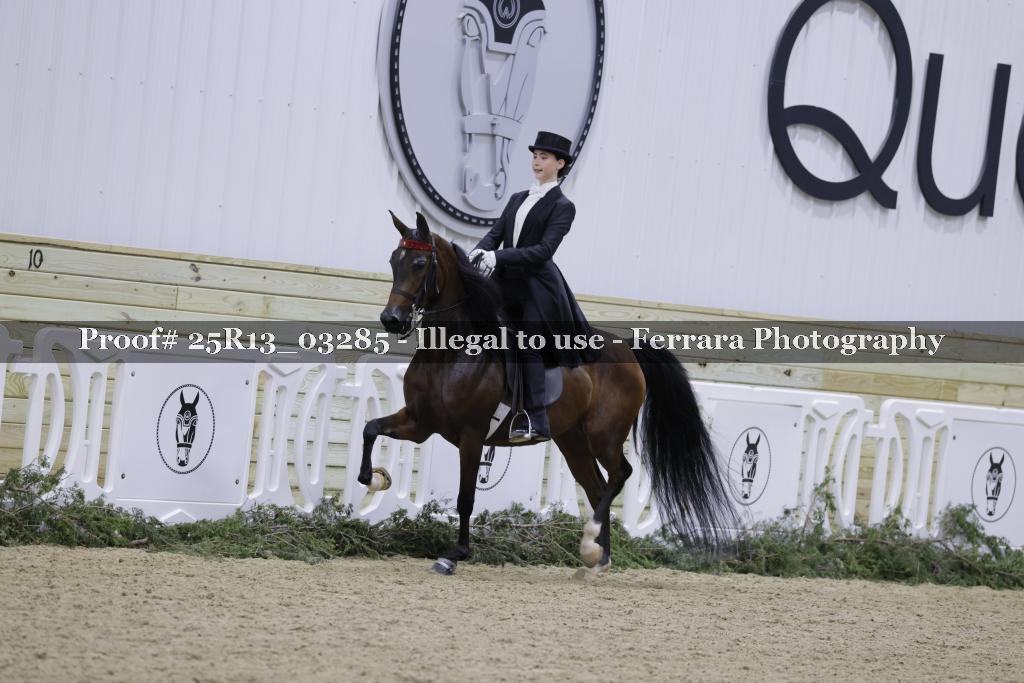Proof 25R13_03285