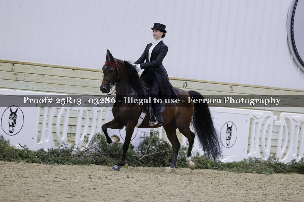 Proof 25R13_03286