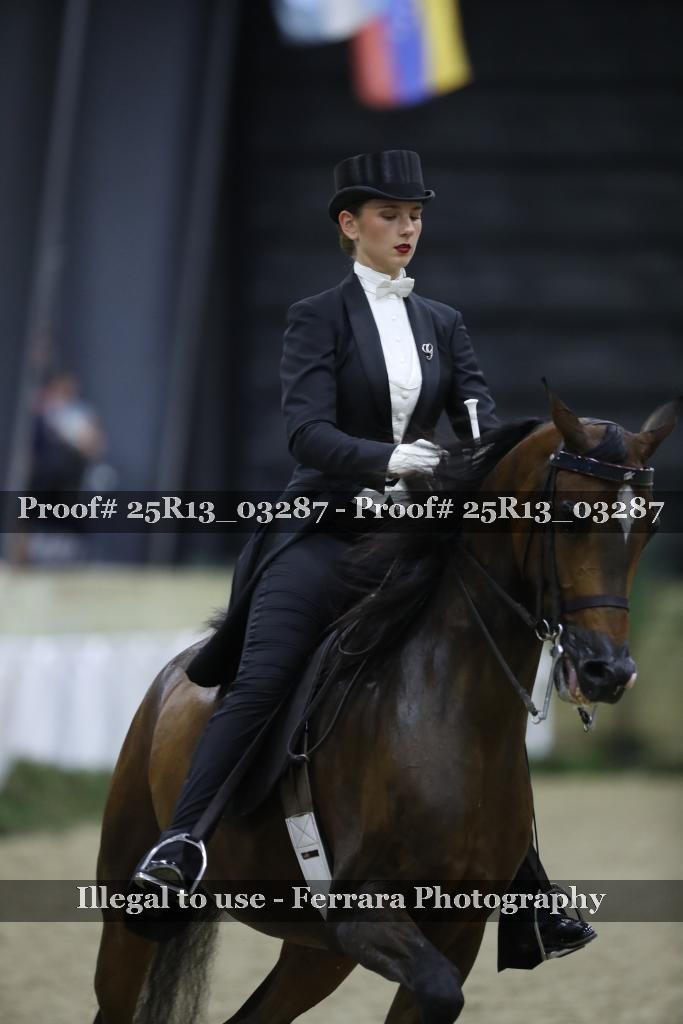 Proof 25R13_03287