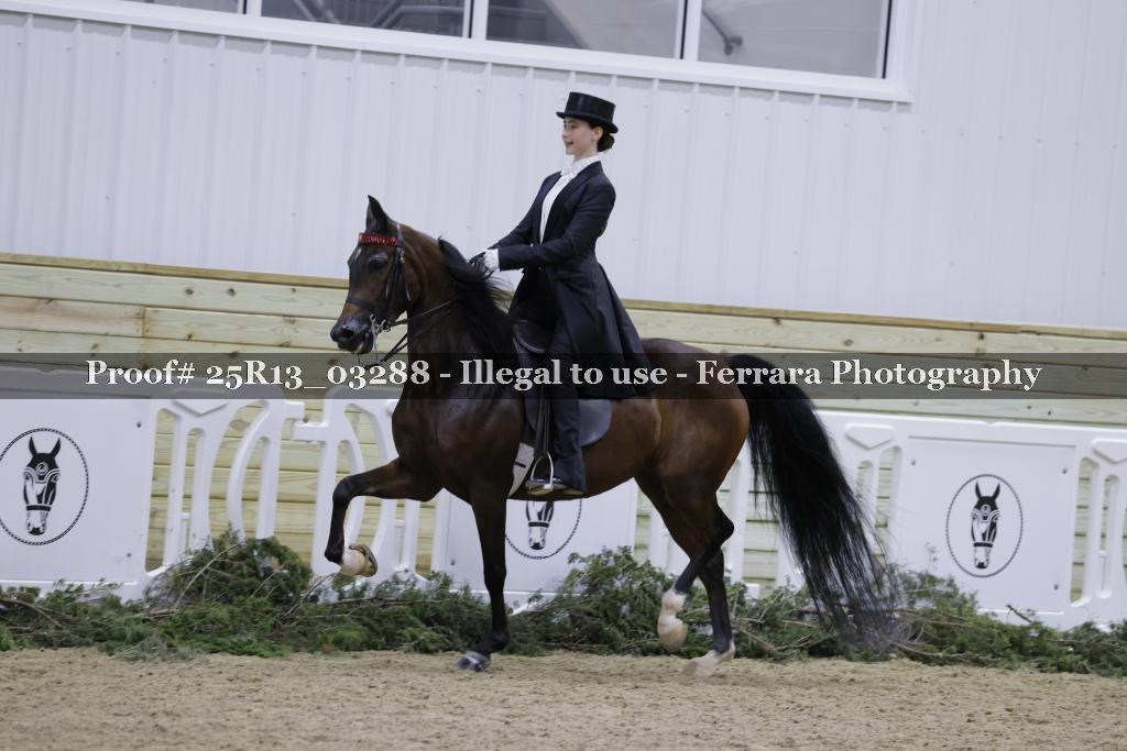 Proof 25R13_03288