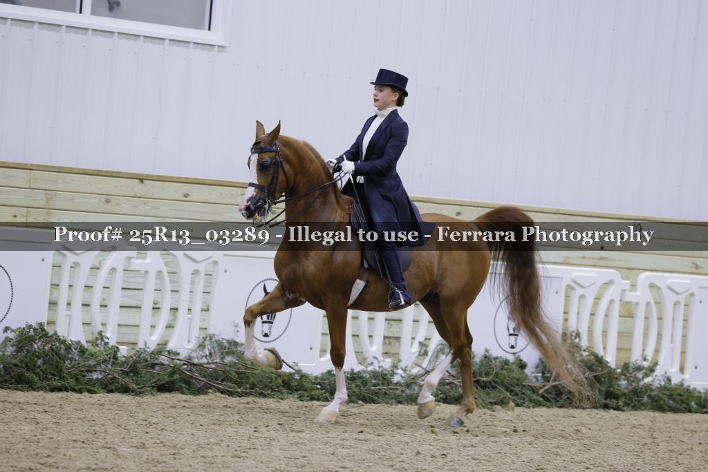 Proof 25R13_03289