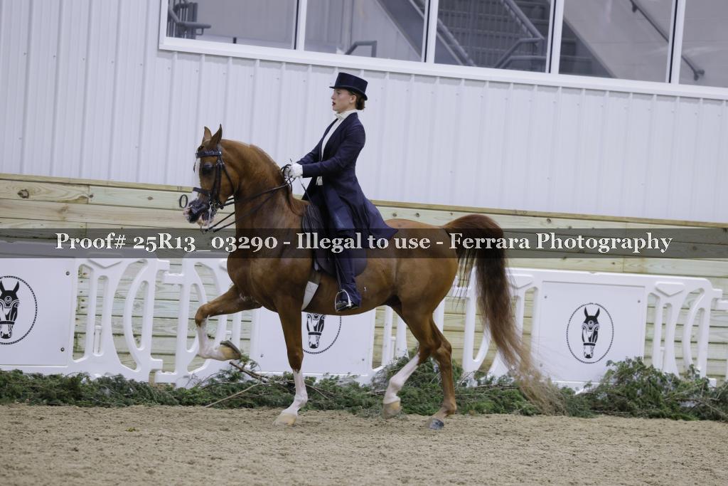 Proof 25R13_03290