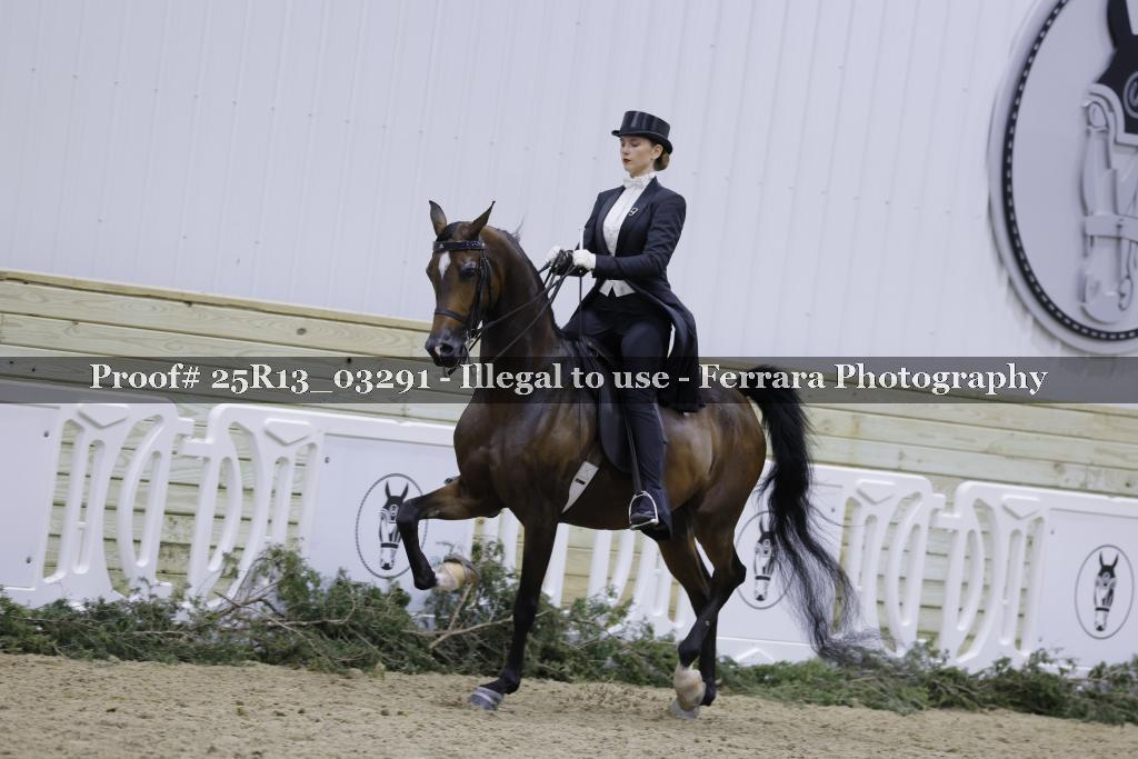 Proof 25R13_03291