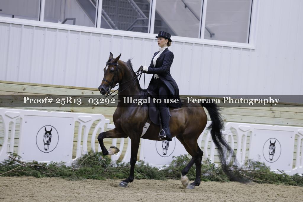 Proof 25R13_03292