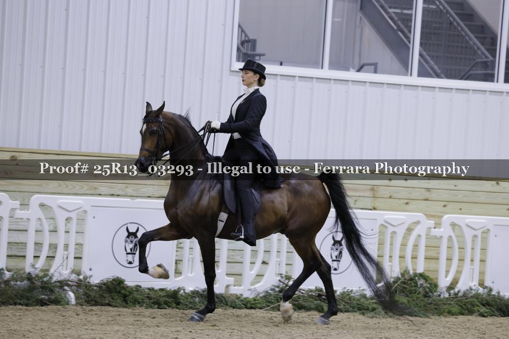 Proof 25R13_03293