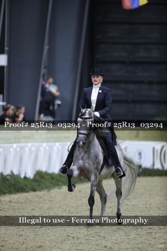 Proof 25R13_03294