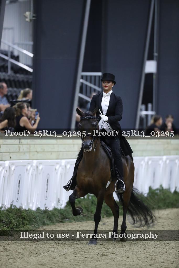 Proof 25R13_03295