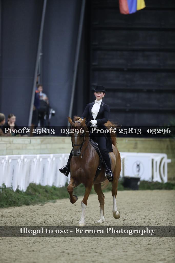 Proof 25R13_03296