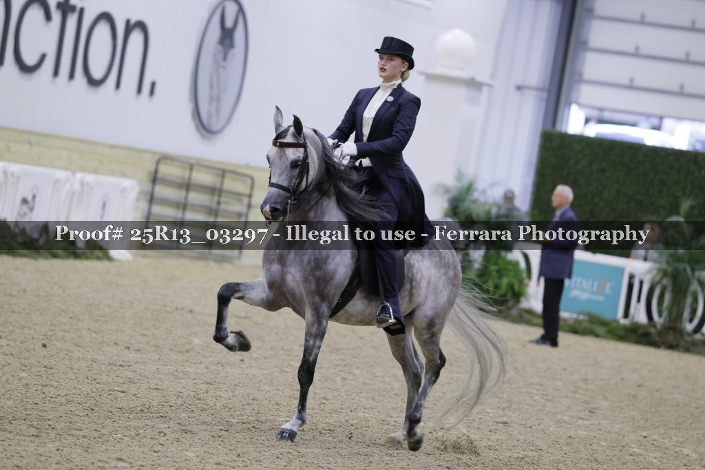 Proof 25R13_03297