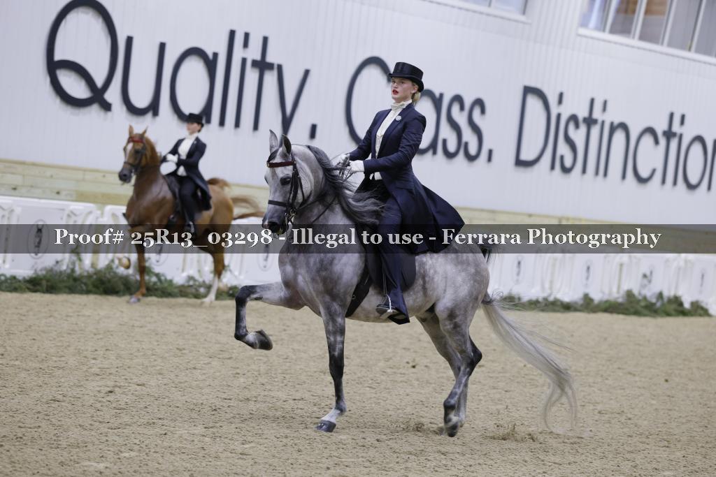 Proof 25R13_03298