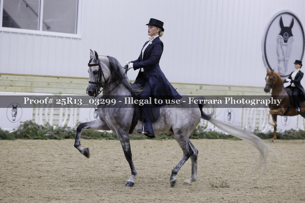 Proof 25R13_03299