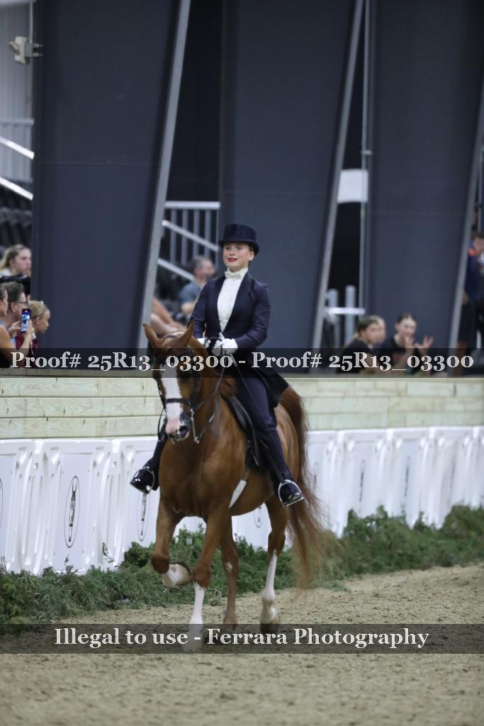 Proof 25R13_03300