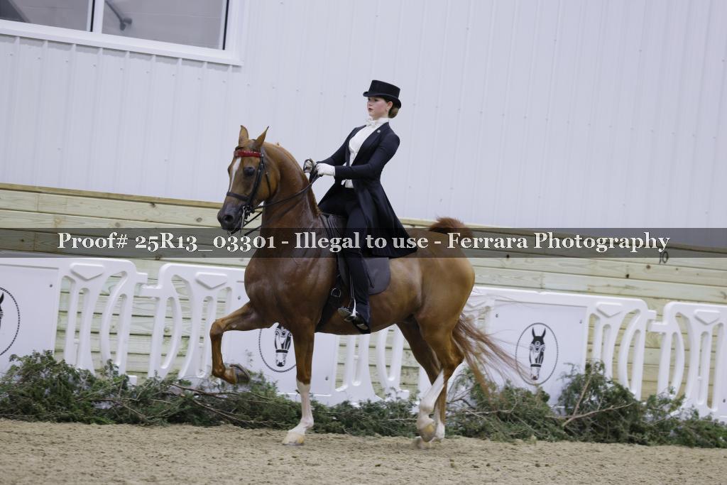 Proof 25R13_03301