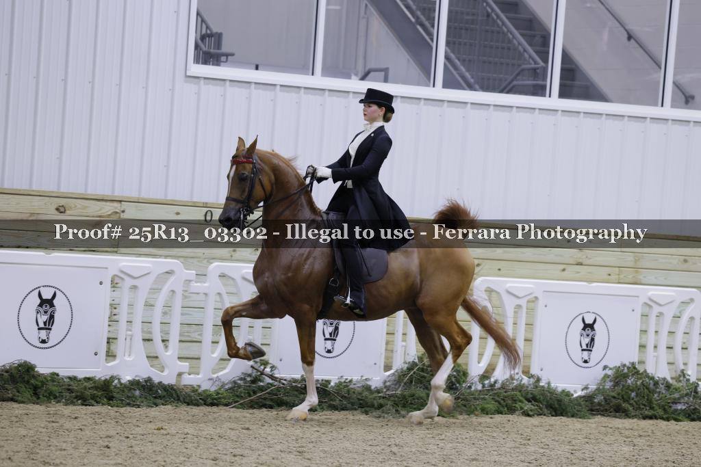 Proof 25R13_03302