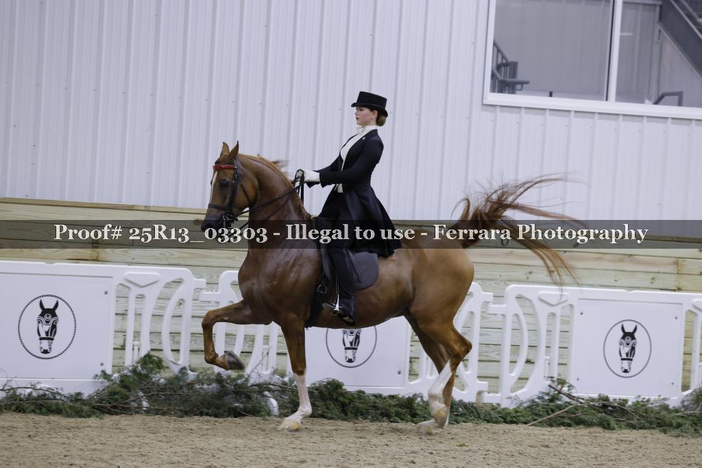 Proof 25R13_03303