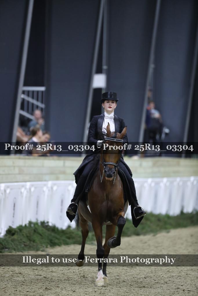 Proof 25R13_03304