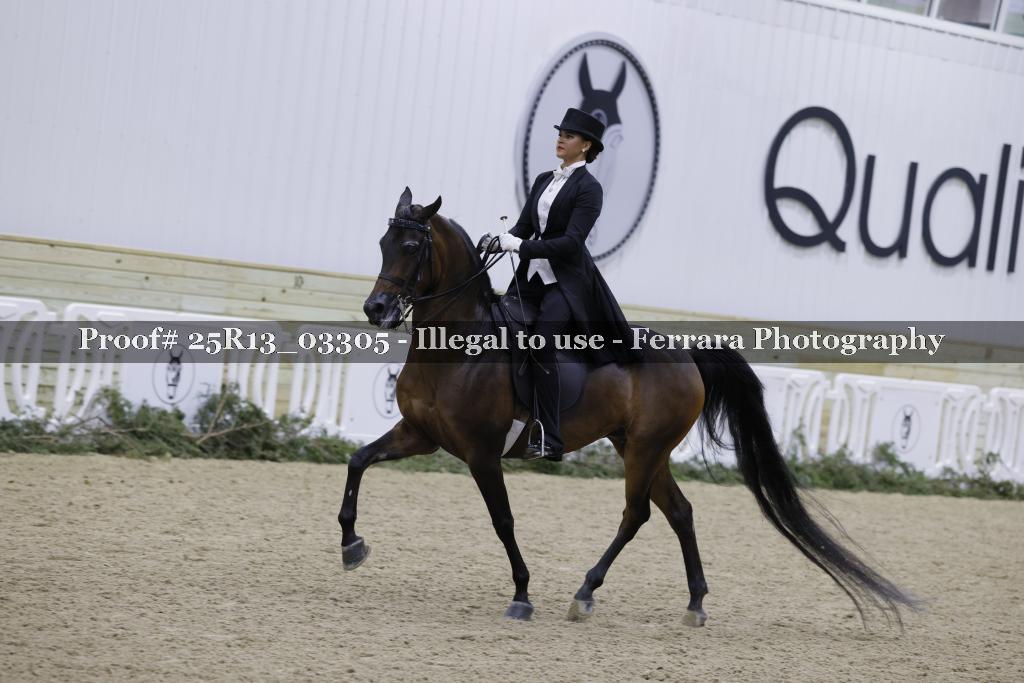 Proof 25R13_03305