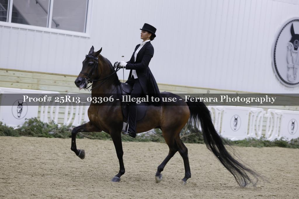 Proof 25R13_03306