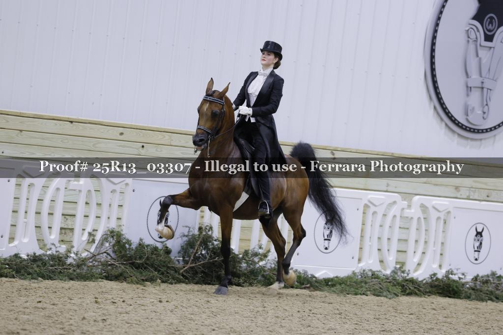 Proof 25R13_03307