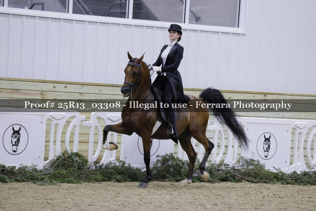 Proof 25R13_03308