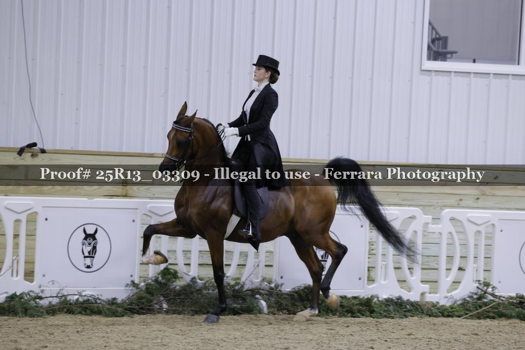 Proof 25R13_03309