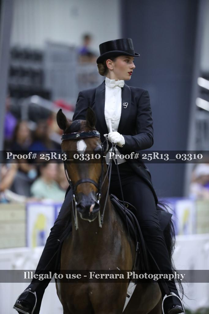 Proof 25R13_03310