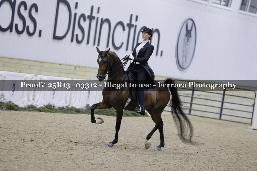 Proof 25R13_03312