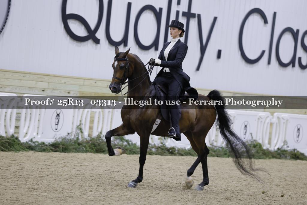 Proof 25R13_03313