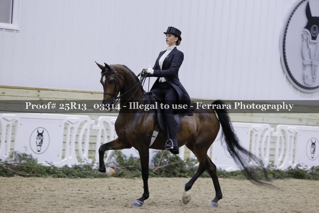 Proof 25R13_03314