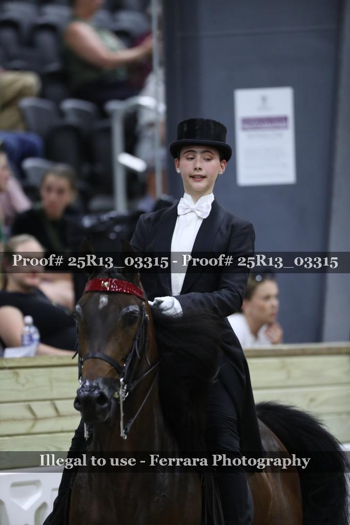 Proof 25R13_03315