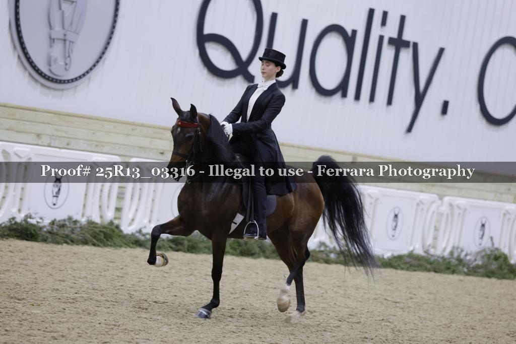 Proof 25R13_03316