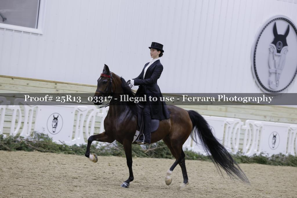 Proof 25R13_03317