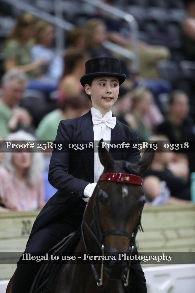 Proof 25R13_03318