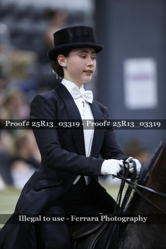 Proof 25R13_03319