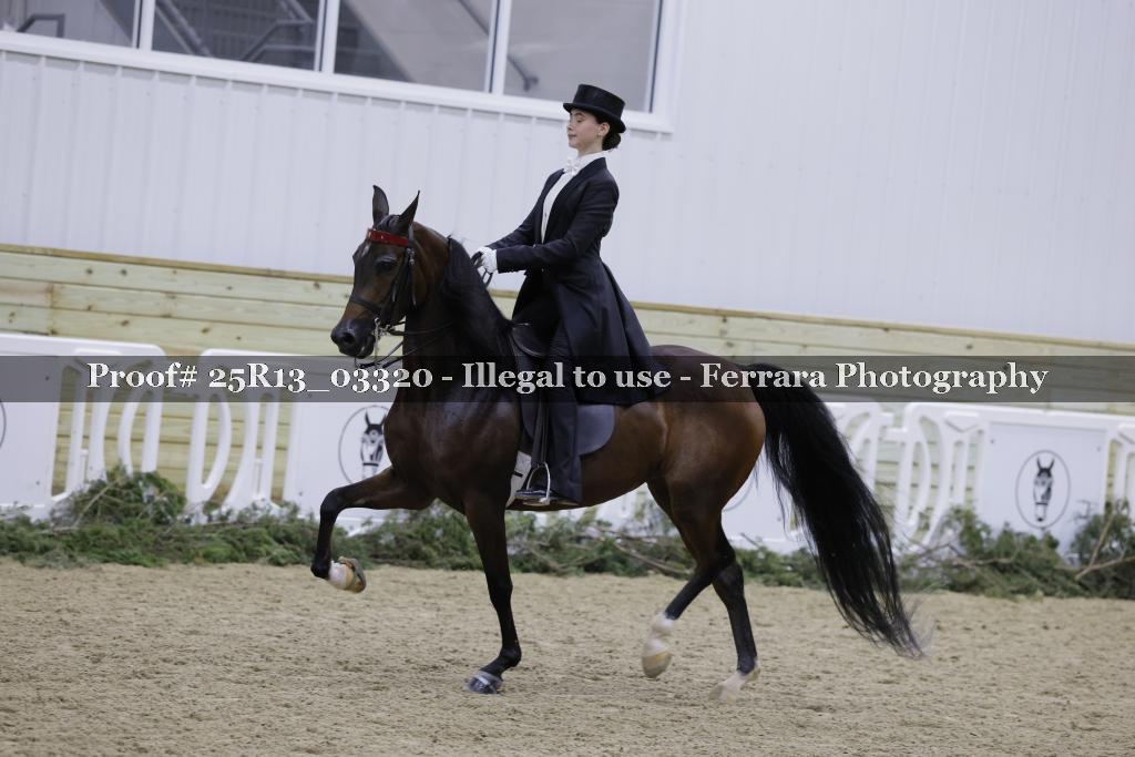 Proof 25R13_03320