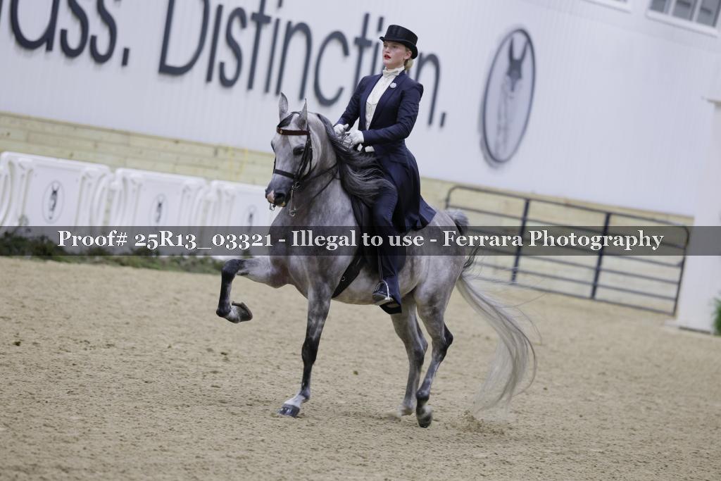 Proof 25R13_03321