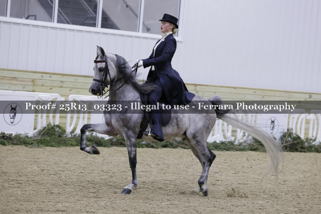 Proof 25R13_03323
