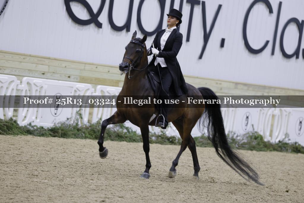 Proof 25R13_03324