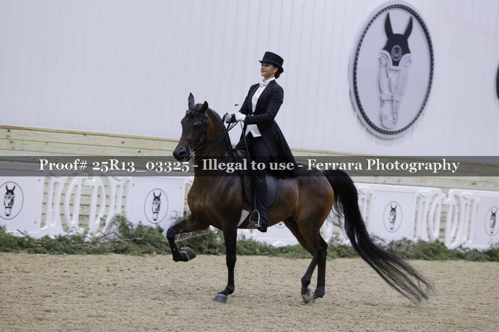 Proof 25R13_03325