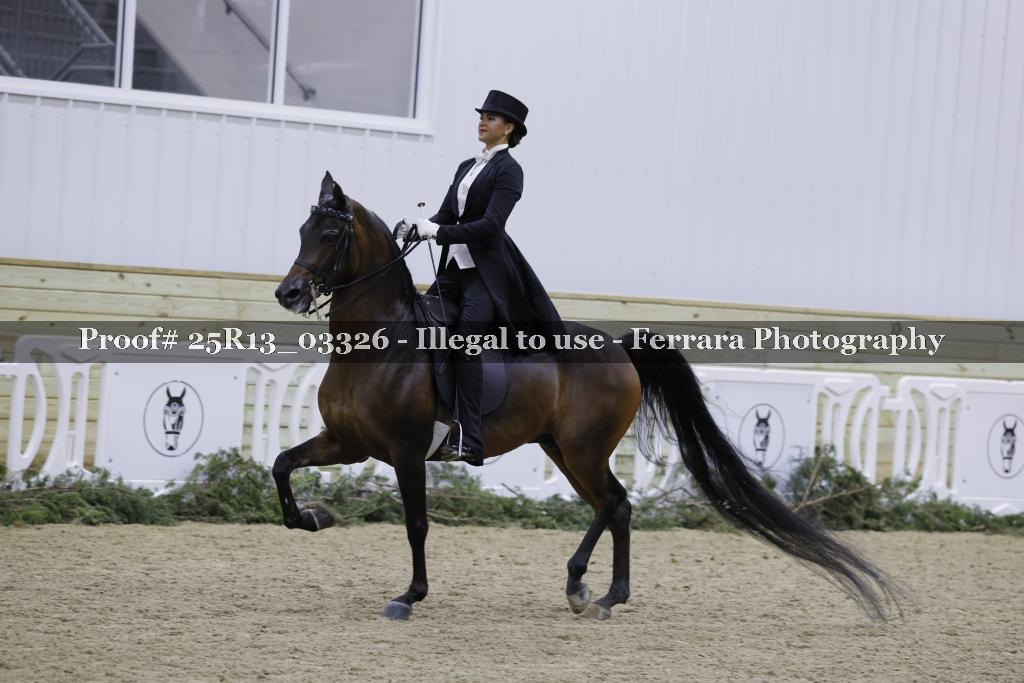 Proof 25R13_03326