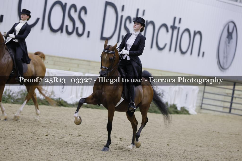 Proof 25R13_03327