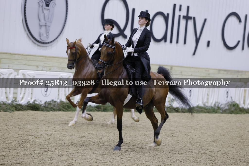 Proof 25R13_03328
