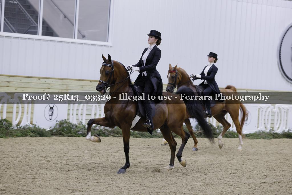 Proof 25R13_03329